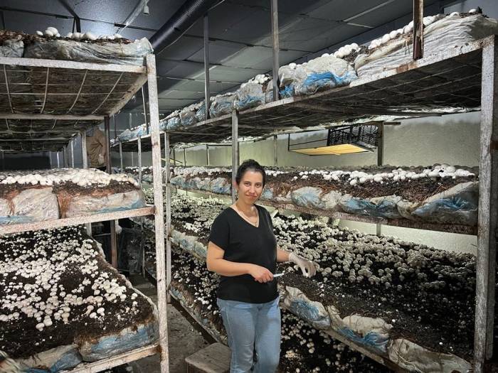 Emetli Girişimci Kadın Kültür Mantarı Üretiyor