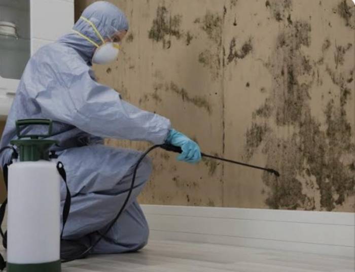 Uzmanlar Kokarca Böceği İle Mücadelede Dikkat Edilmesi Gereken Hususlar İçin Uyardı