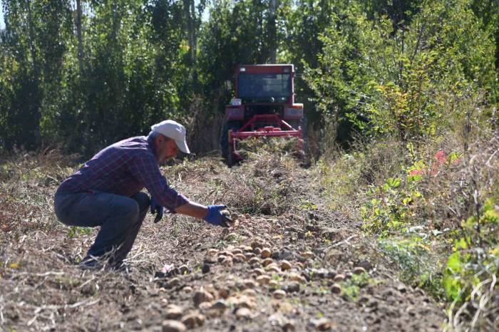 Selçuklu Belediyesi Tarımsal Üretime Katkı Sağlamaya Devam Ediyor