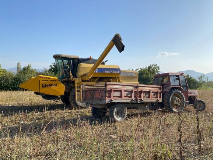 Bilecik’te Yağlık Ve Çerezlik Ayçiçeği Hasadı Tamamlandı