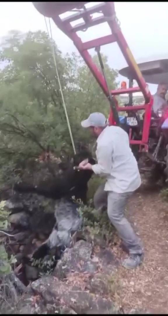 Kuyuya Düşen Keçi Kepçeyle Kurtarıldı