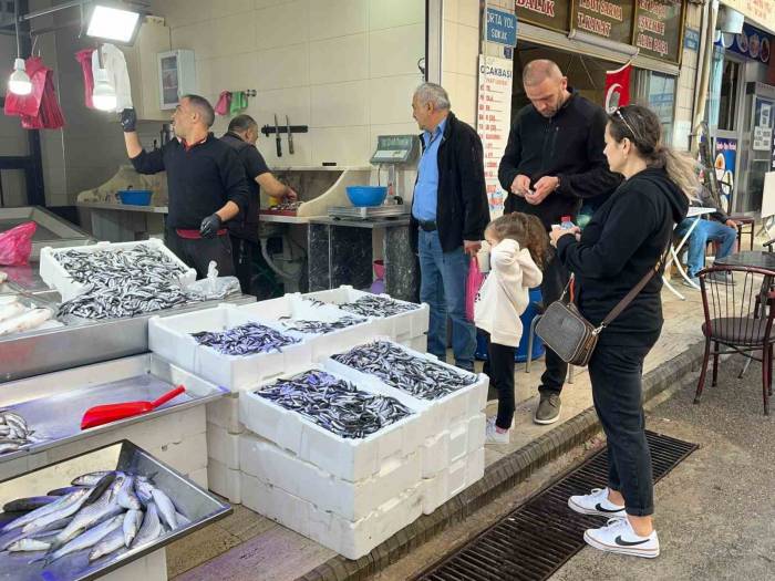 Sinop Hamsisi Azaldı: Kilosu 60 Lira