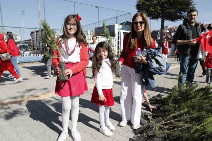 100 Bin Fidan Dağıtıldı