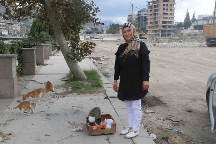 Sağlık Çalışanı, Sayıları 100’ü Aşan Sokak Hayvanlarının Umudu Oldu