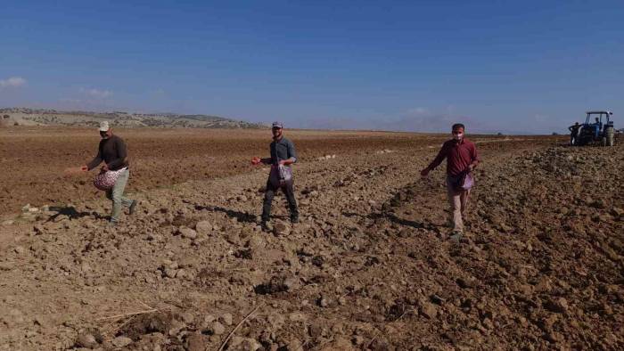 Kulp’ta Çiftçiler İmece Usulü Tohumu Toprakla Buluşturdu