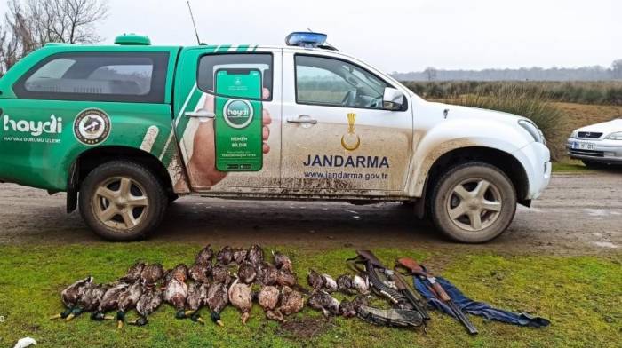 Samsun’da Kaçak Avcılara Ve Hayvanlara Kötü Davrananlara Ceza Yağdı