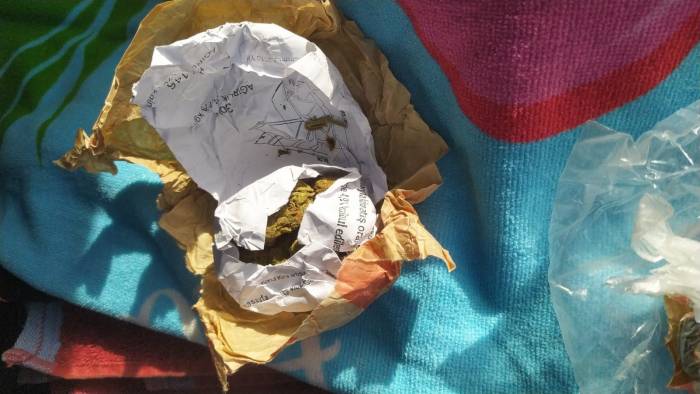 Samsun’da Narkotik Uygulaması: 22 Kişi Yakalandı