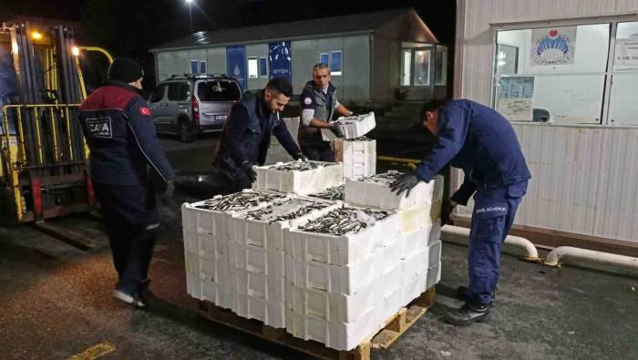 İstanbul’da Su Ürünleri Denetlendi: 7.5 Ton Su Ürününe El Konuldu