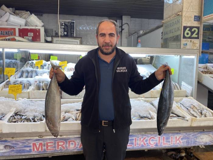 Balık Pazarındaki Sessizlik Yerini Berekete Bıraktı