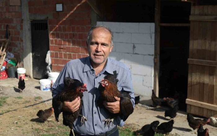 Kırsal Kalkınmaya Yumurta Dopingi