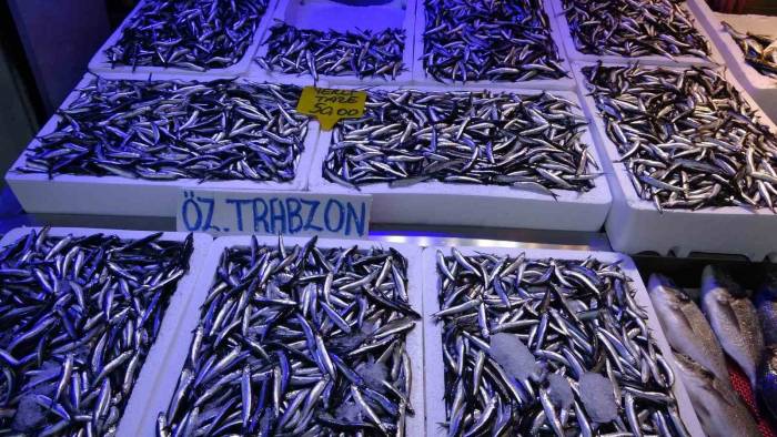 Hamside Son Yılların En Bereketli Sezonu