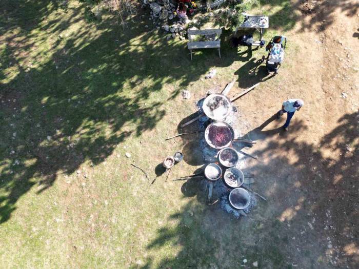 Toros Dağı Zirvesinden Türkiye’ye Yayılan Şifa: Andız Pekmezi