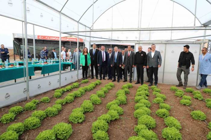 Tarla Değil Cezaevi