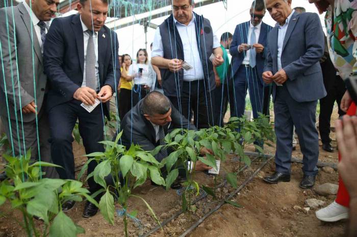 Üreticilerin Korkulu Rüyasına Karşı Biyolojik Mücadele Başladı