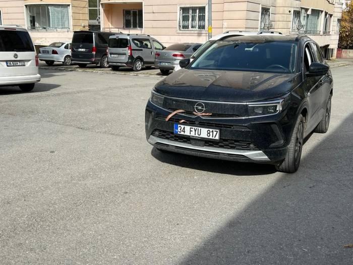 Otomobilin Motor Bölümüne Giren Yılan Yün Yakılarak Çıkarıldı