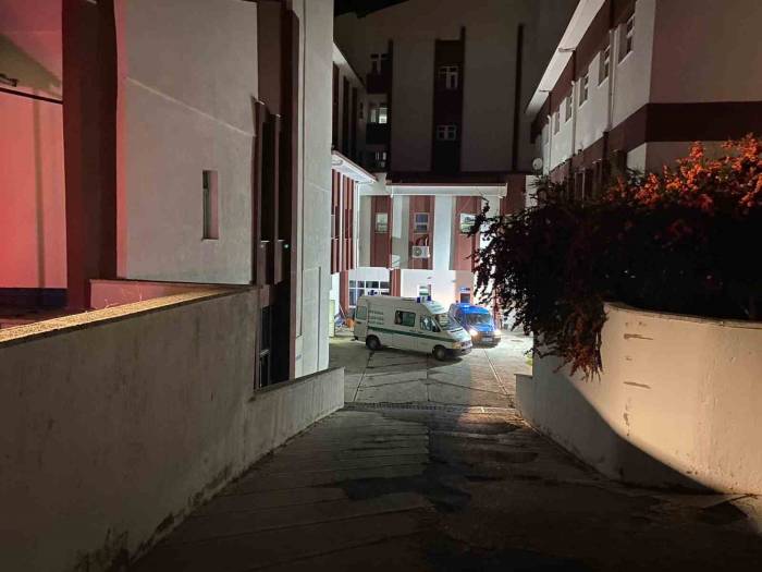 Koyunlarına Kamyon Çarpmasın Diye Hayatından Oldu