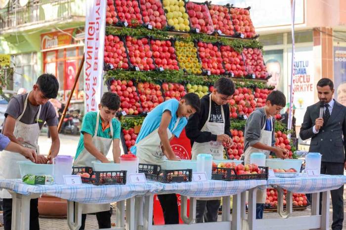 Bilecik’te Nar Hasadı