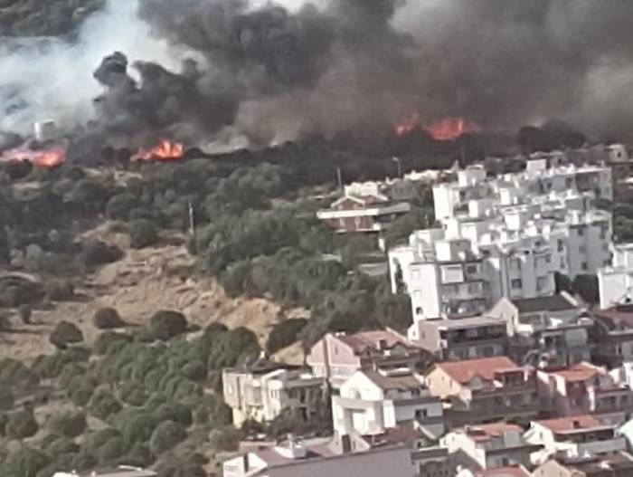 İzmir’de Ormanlık Alandaki Yangın Kontrol Altında