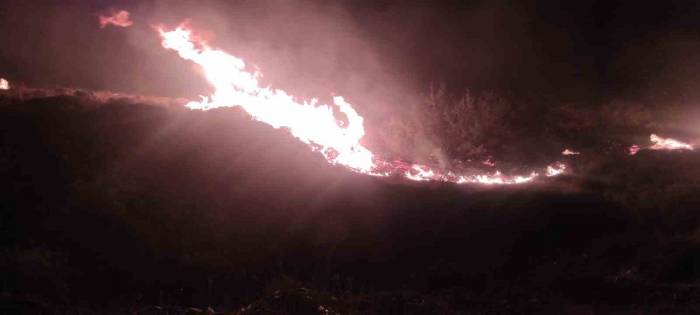 İzmir’de Makilik Alanda Çıkan Yangın Kontrol Altında
