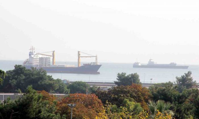 Hayvansal Ürün İhracatından Milyonlarca Döviz Gelir