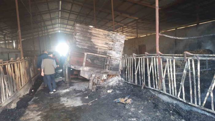 Orman Yangınından Etkilenen İşletmelerde İncelemelerde Bulunuldu