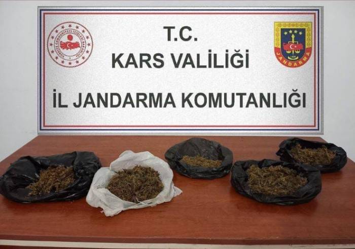 Kars’ta 700 Gram Bonzai Ele Geçirildi