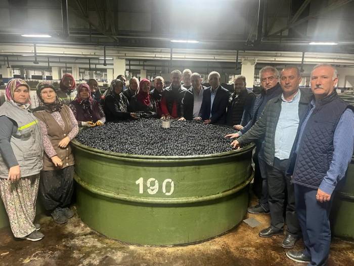 Marmarabirlik’ten Ortaklarına 137 Milyon Liralık Ödeme