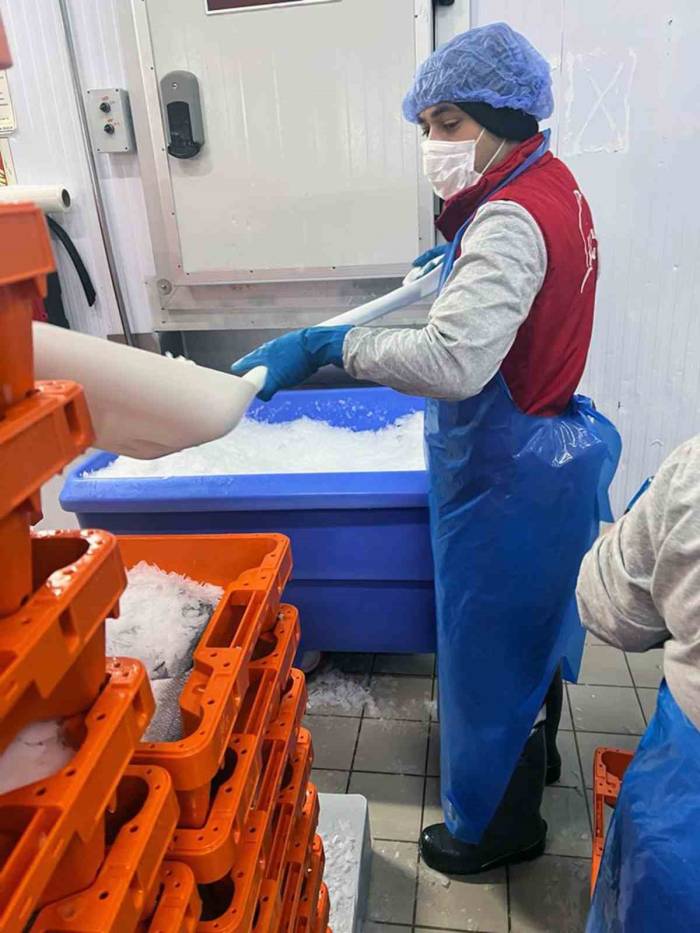 Roman Vatandaşlar İstihdama Kazandırılıyor