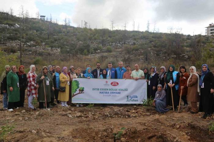 Tdv “1 İyilik 1 Fidan” Kampanyasıyla Yıl Sonuna Kadar 800 Bin Fidan Dikecek