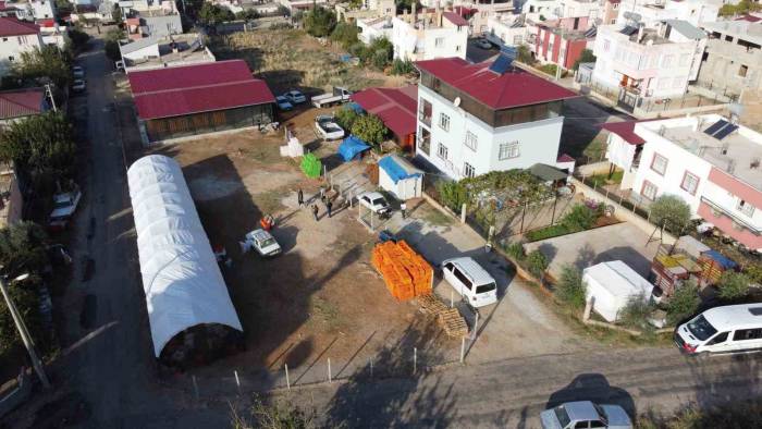 Hurma Kurutma İşi Mahalleyi Fabrikaya Çevirdi