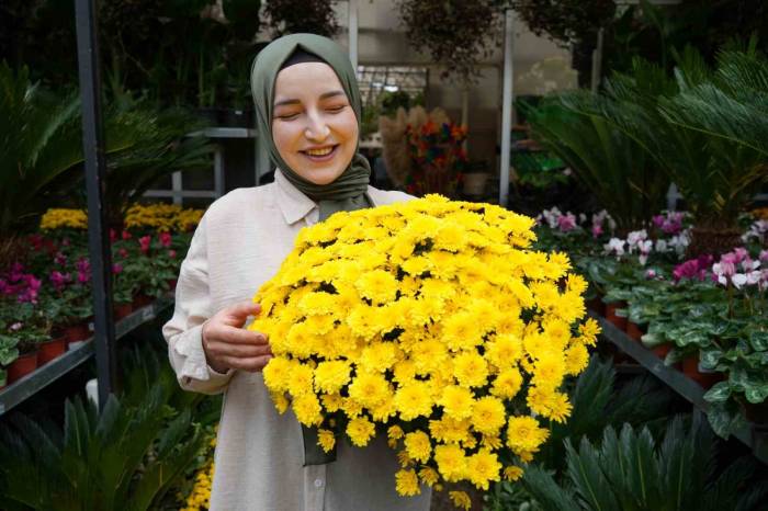 Bu Çiçeklere Sonbaharda İlgi Arttı