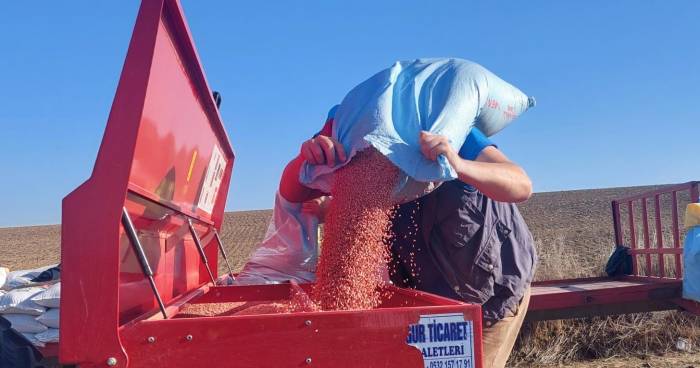 Türkiye’nin Buğday Ambarında Ekim Zamanı