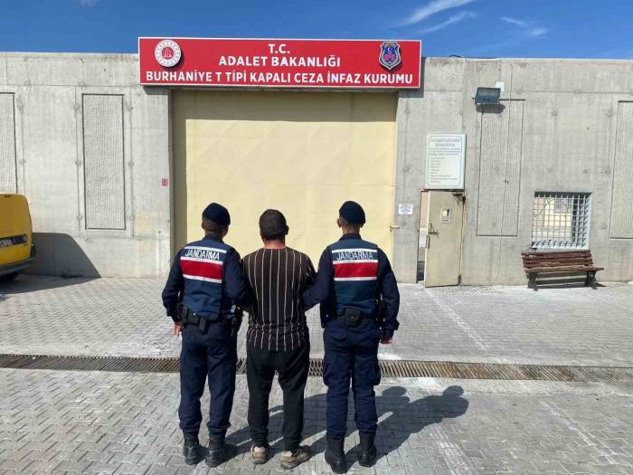 Zeytin Çalarken Jandarmaya Yakalanan Hırsız Tutuklandı
