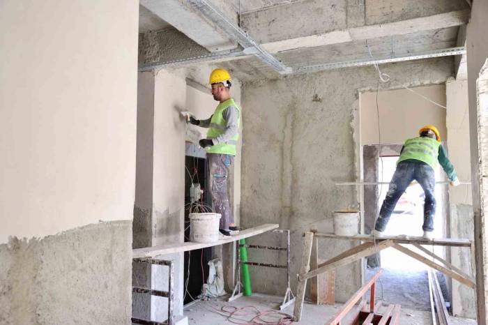 Bayrampaşa’da Sokak Hayvanları İçin Yeni Bir Bakımevi