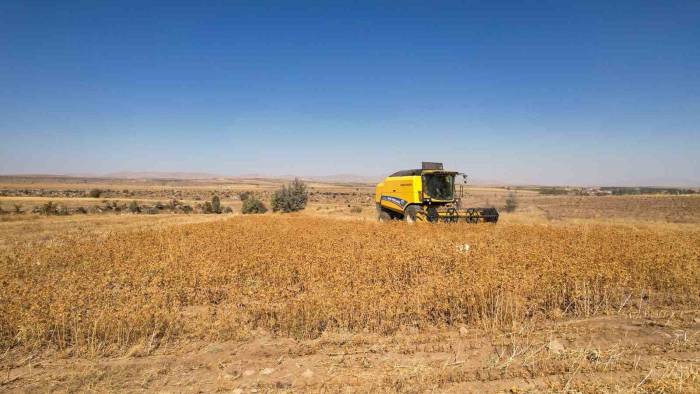 Talas’ta 2 Bin 500 Litre Aspir Yağı Alındı