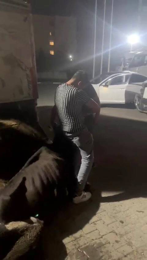 Sakarya’daki Skandal Olay İçin Savcılık Harekete Geçti