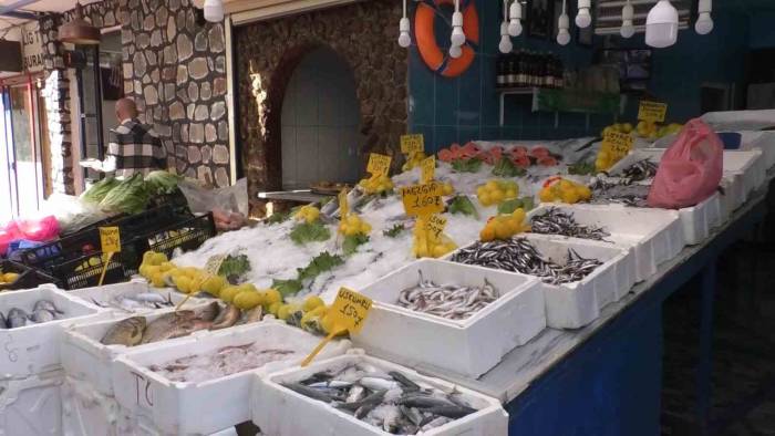 Hamsinin Kilo Fiyatı 35 Liraya Düştü