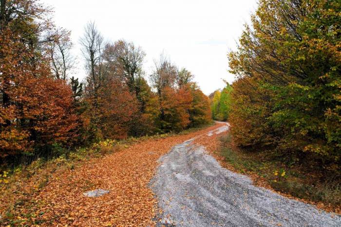 Ulus Dağı Sonbaharın Renklerine Büründü