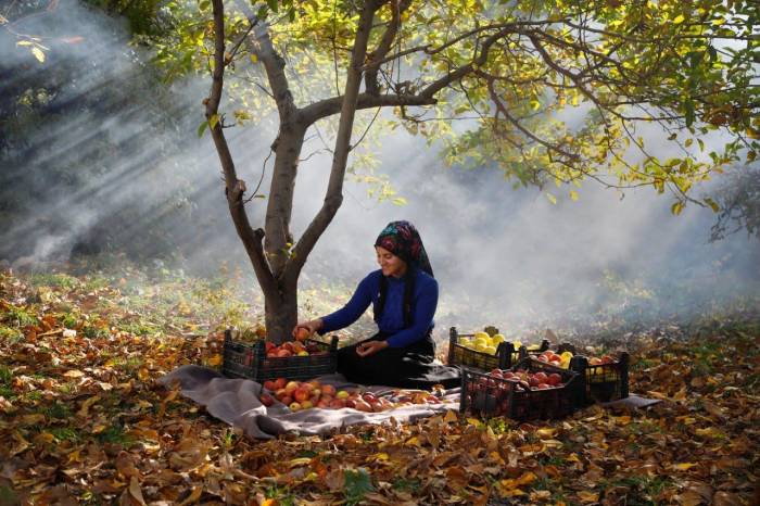 ‘Kadrajımdan Edremit Fotoğraf Yarışması’ Sona Erdi