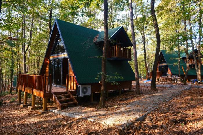 İl Ormanı’nda Bungalov Tatiline Büyükşehir Güvencesi