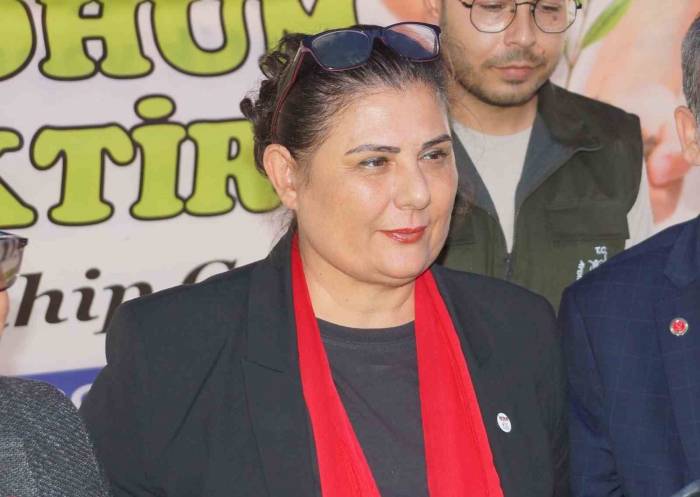 Başkan Çerçioğlu: “Derelerin Islahı Bir An Önce Yapılmalı”