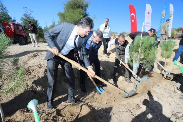 Mehmetçik Hatıra Ormanı’nda Binlerce Fidan Toprakla Buluştu