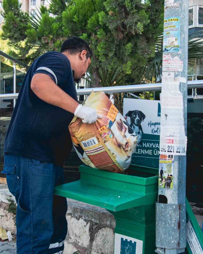 Kuşadası’nda Sokak Hayvanları Unutulmuyor