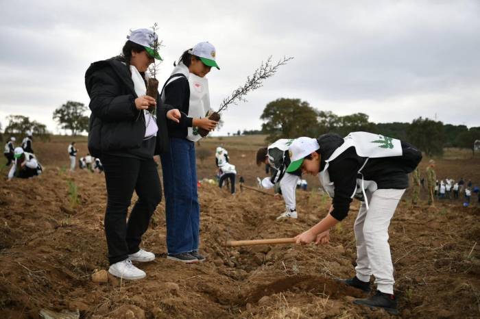 Balıkesir’de Fidanlar Toprakla Buluştu