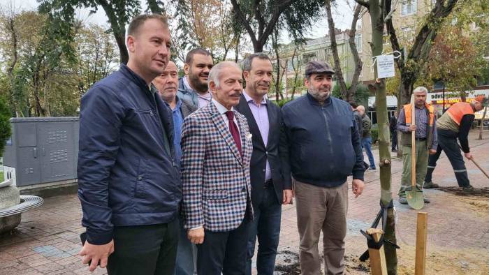 Bayrampaşa Belediyesi 2023 Fidanı Toprakla Buluşturuyor