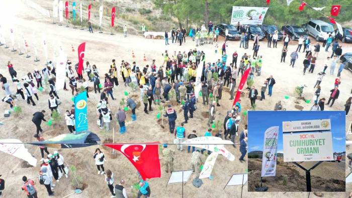 Denizli’de 52 Ayrı 100. Yıl Cumhuriyet Ormanı’nda 49 Bin Adet Fidan Toprakla Buluştu