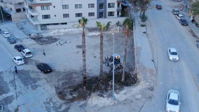 Sökülen Ağaç Pahalıya Patladı, Yerine 2 Bin 103 Ağaç Diktiler