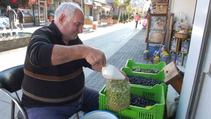 Balıkesir’de Kırma Zeytin Hazırlanmasına Başlandı