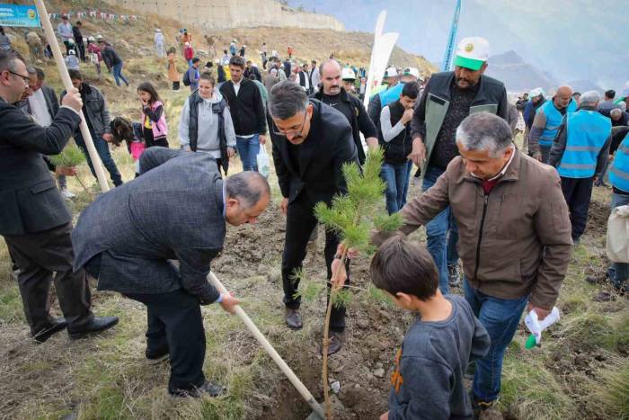 Vali Ali Çelik: "Ağaçlar; Yağmura Ve İyiliğe Karşı Açılmış Bir Dua"