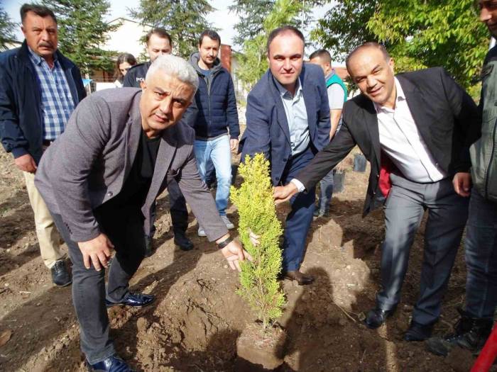 Hisarcık’ta 100 Fidan Toprakla Buluştu